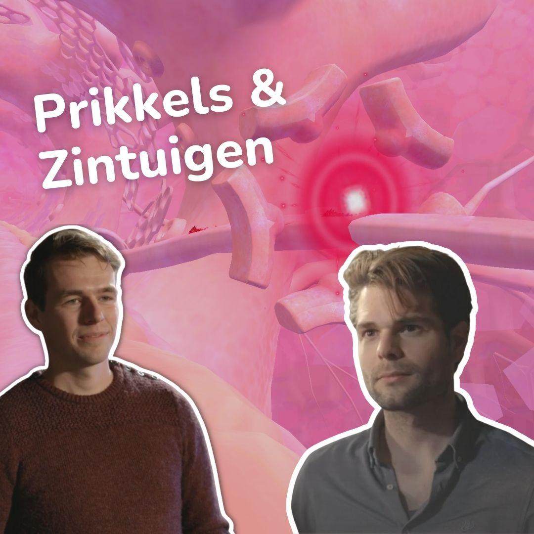 Reducept in Prikkels op NPO2