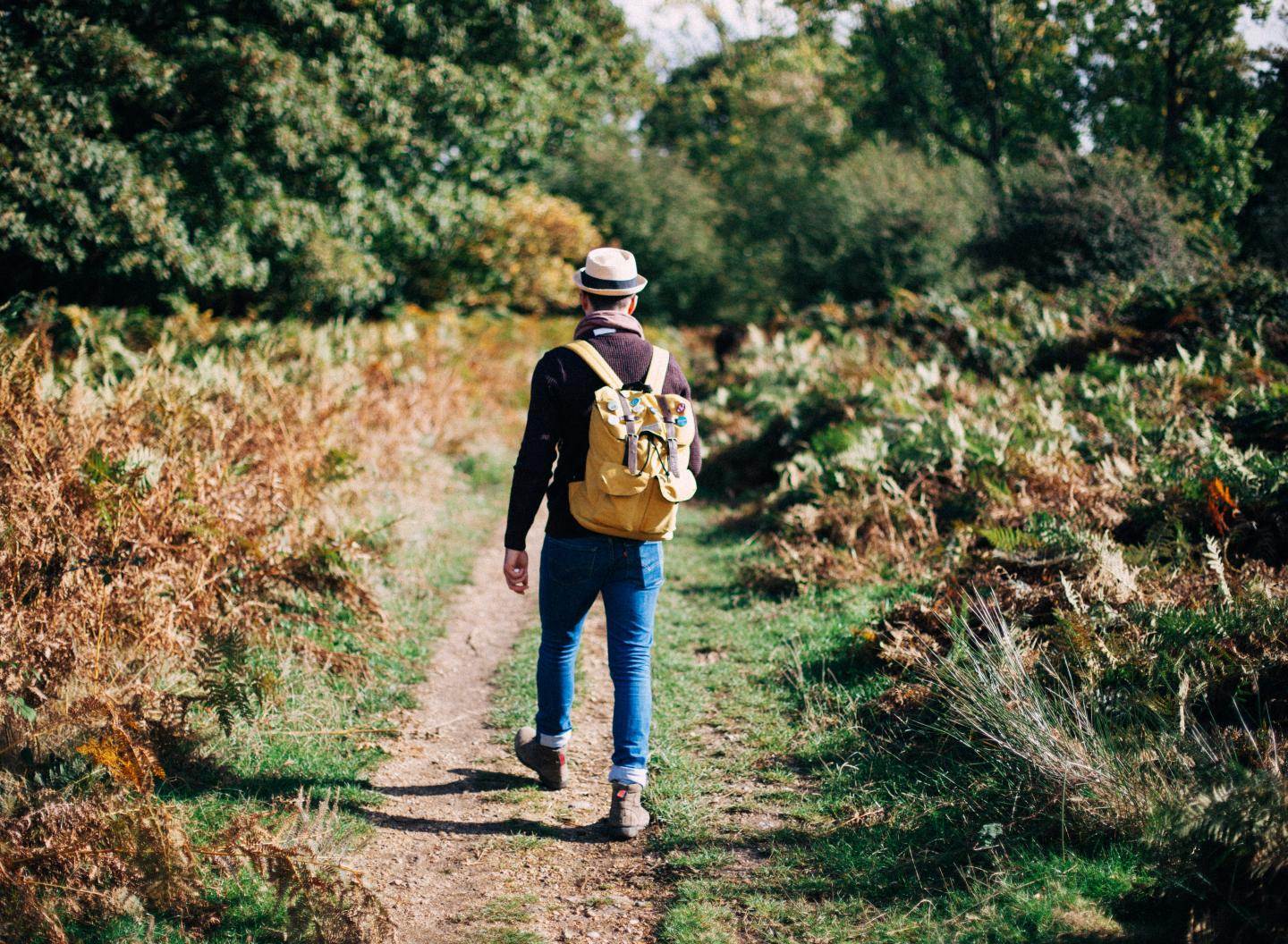 brein-gezond-wandelen