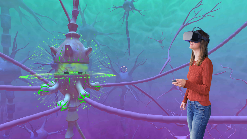dorieke in the brain